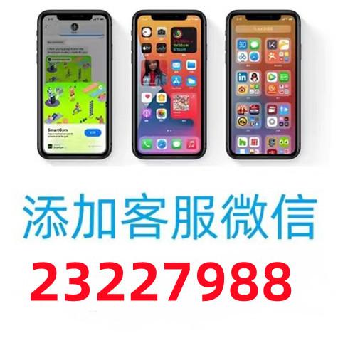 20210918162119_63688.jpg