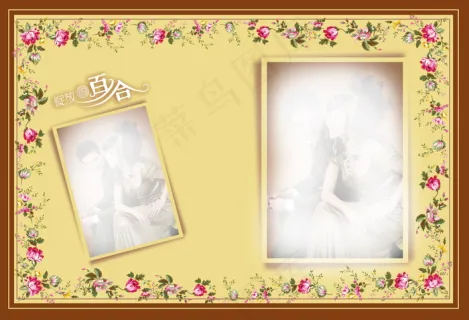 金鳟娱乐：（46）｜金鳟鱼