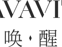 博亚体育官网：全新投注体验