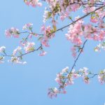 利记娱乐网站：畅享无限娱乐与精彩游戏体验